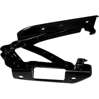 Hood Hinge Assembly by SHERMAN PARTS - FORANG24-42L pa1