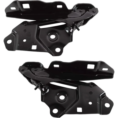 Hood Hinge Assembly - GM1236206 pa1