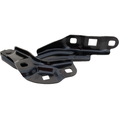 Hood Hinge Assembly - GM1236238 pa1