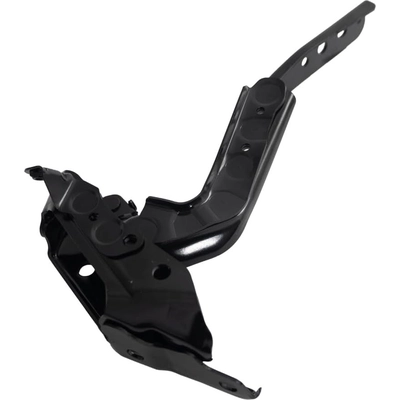 Hood Hinge Assembly - HO1236170 pa1