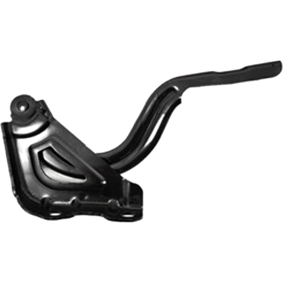 Hood Hinge Assembly - HY1236198 pa1