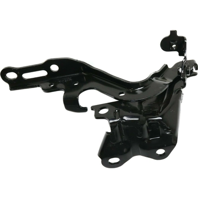 Hood Hinge Assembly - LX1236127 pa4
