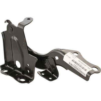 Hood Hinge Assembly - LX1236153 pa1