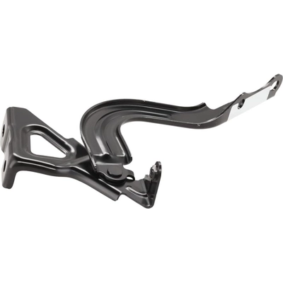 Hood Hinge Assembly - LX1236161 pa1
