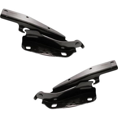 Hood Hinge Assembly - NI1236105 pa1