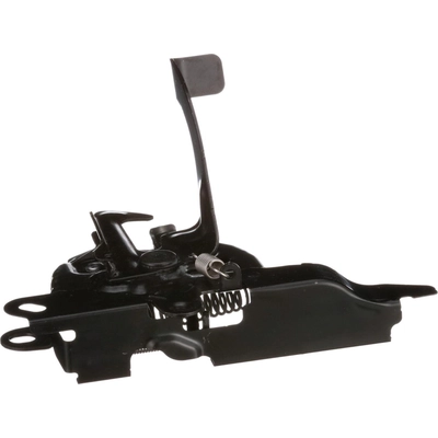 Hood Latch by BLUE STREAK (HYGRADE MOTOR) - DLA1546 pa1