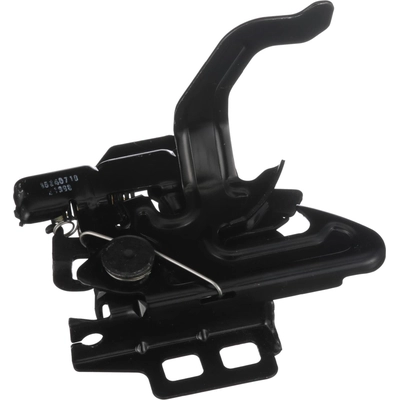 Hood Latch by BLUE STREAK (HYGRADE MOTOR) - DLA1550 pa1