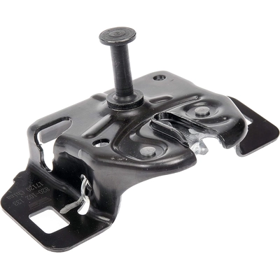 DORMAN - 820-102 - Hood Latch Assembly pa1