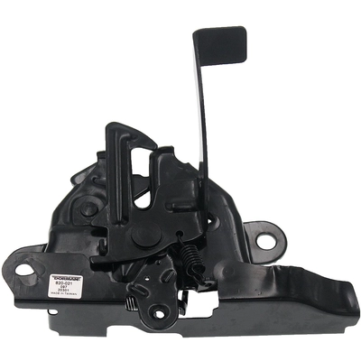 DORMAN (OE SOLUTIONS) - 820-021 - Loquet de capot Assembly pa2