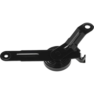 Hood Lift Assembly - GM1237148 pa2