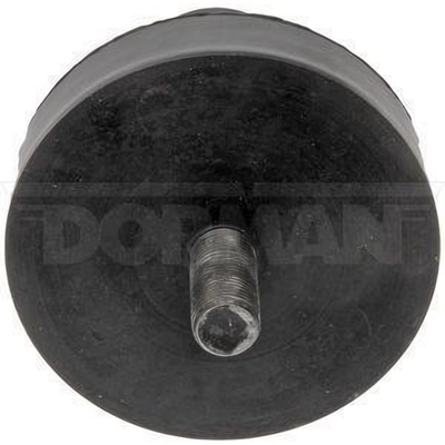 Hood Lock Or Pin by DORMAN (HD SOLUTIONS) - 924-5410 pa2