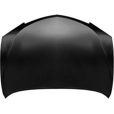 Hood Panel Assembly - AC1230126 pa1