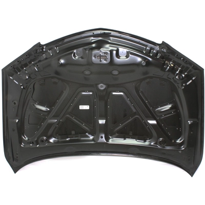 Hood Panel Assembly - AC1230126C pa5