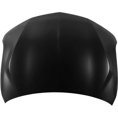 Hood Panel Assembly - AC1230130 pa1