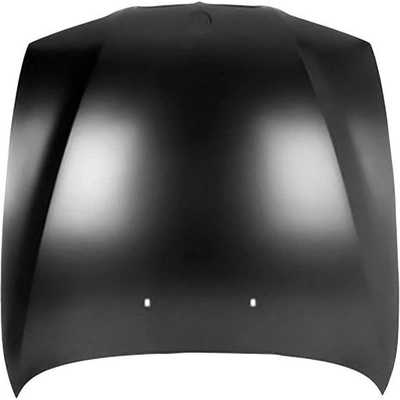 Hood Panel Assembly - BM1230107 pa1