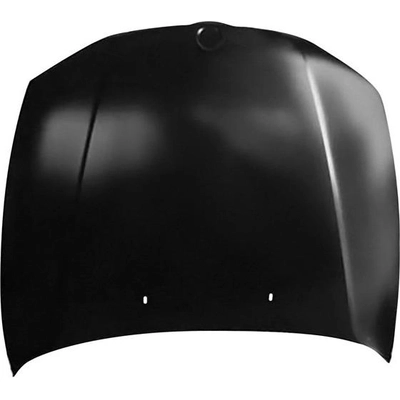 Hood Panel Assembly - BM1230127C pa1