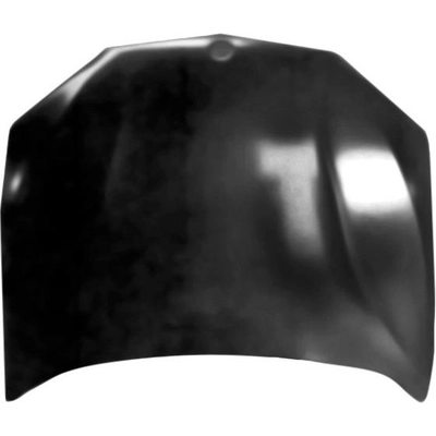 Hood Panel Assembly - BM1230146C pa1