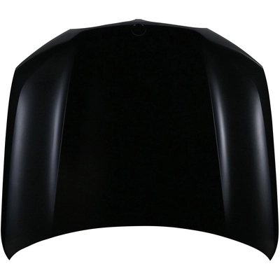 Hood Panel Assembly - BM1230148C pa1