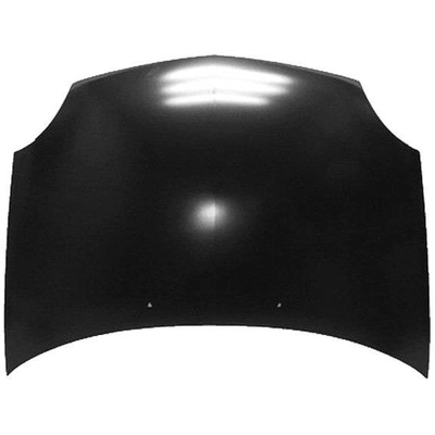 Hood Panel Assembly - CH1230201C pa1