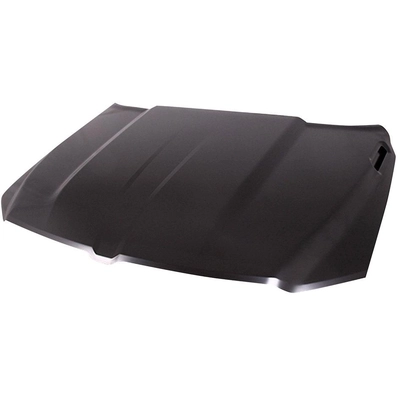 Hood Panel Assembly - CH1230325 pa1