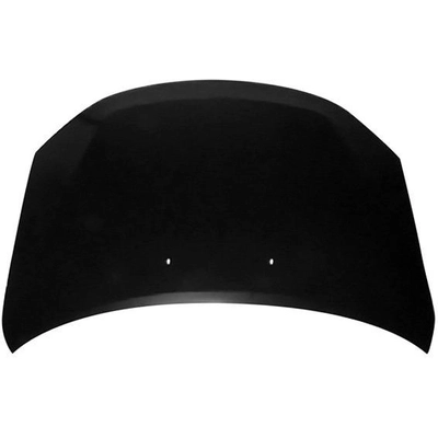 Hood Panel Assembly - FO1230279 pa1