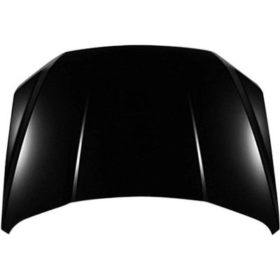 Hood Panel Assembly - FO1230307 pa1