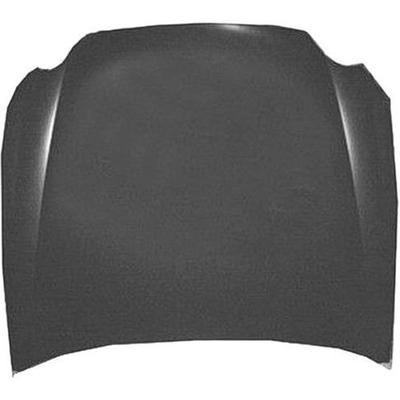 Hood Panel Assembly - GM1230339C pa1