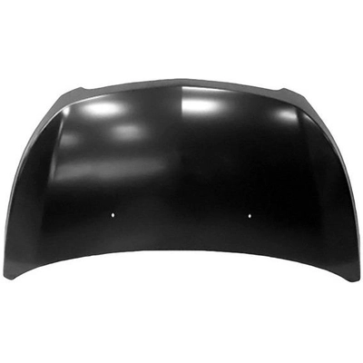 Hood Panel Assembly - GM1230413C pa1