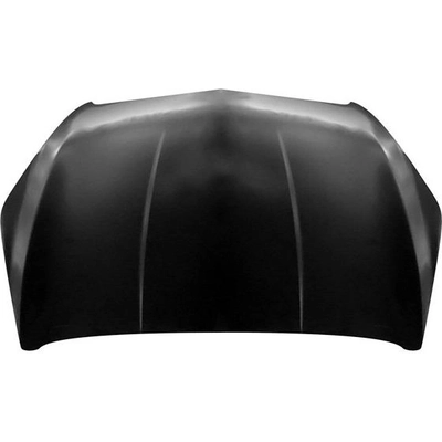 Hood Panel Assembly - GM1230416 pa1