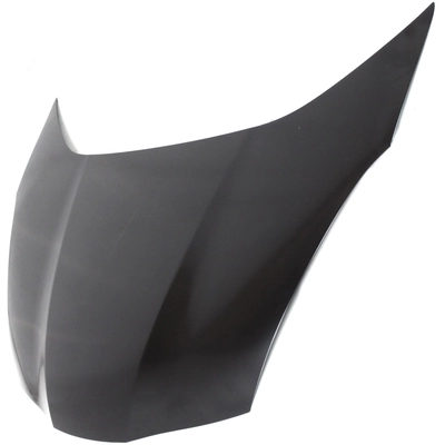 Hood Panel Assembly - HO1230159 pa4