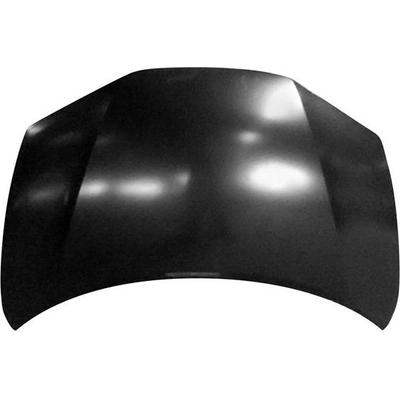 Hood Panel Assembly - HO1230176C pa1