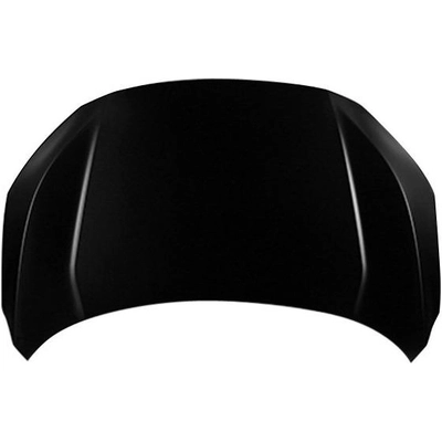 Hood Panel Assembly - HO1230188 pa1