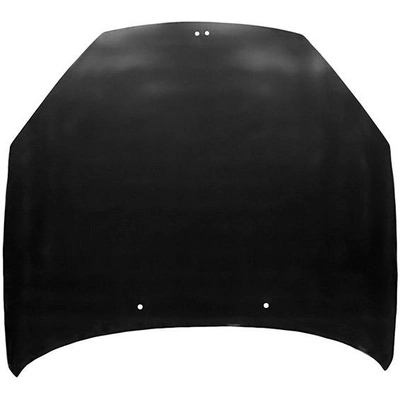 Hood Panel Assembly - HY1230141 pa1