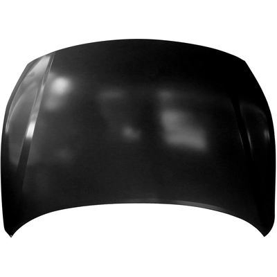 Hood Panel Assembly - HY1230167 pa1