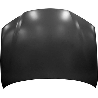 Hood Panel Assembly - LX1230124 pa1