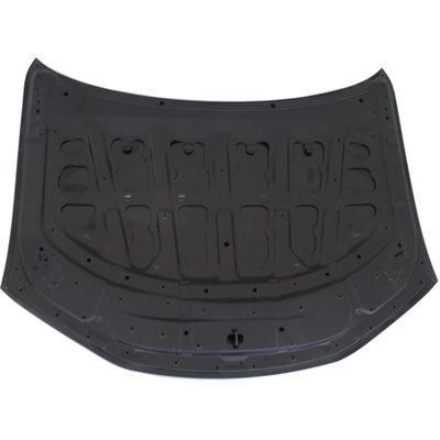 Hood Panel Assembly - LX1230124C pa2