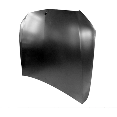 Hood Panel Assembly - MB1230149C pa1