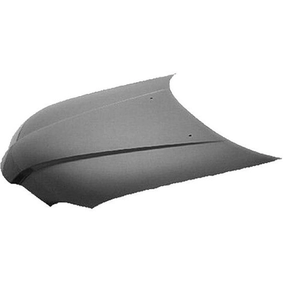 Hood Panel Assembly - MI1230204 pa1