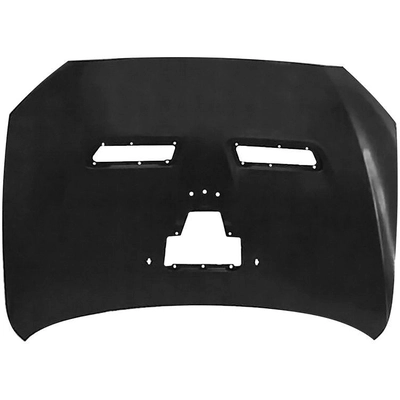 Hood Panel Assembly - MI1230217 pa1