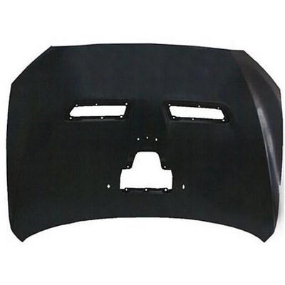 Hood Panel Assembly - MI1230217 pa2