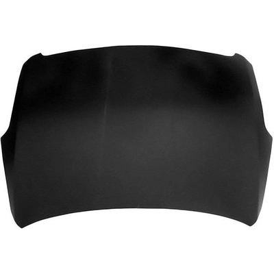 Hood Panel Assembly - NI1230173 pa1