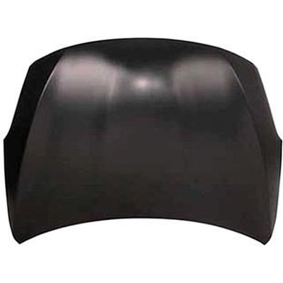 Hood Panel Assembly - NI1230191 pa1