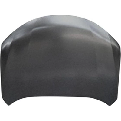 Hood Panel Assembly - NI1230197 pa2