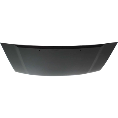 Hood Panel Assembly by SHERMAN PARTS - 1645-28Q-0 pa2