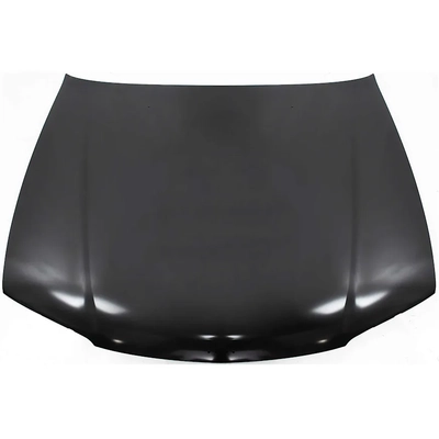 SHERMAN PARTS - 2814-28-0 - Hood Panel pa1
