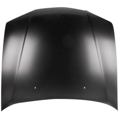 SHERMAN PARTS - 2814-28-2 - Hood Panel pa1