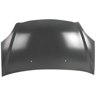 Hood Panel Assembly by SHERMAN PARTS - 2911A-28-0 pa1