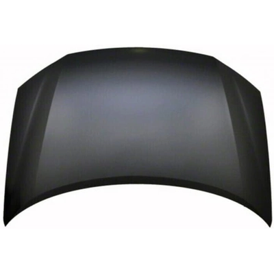 Hood Panel Assembly by SHERMAN PARTS - 2913D-28Q-0 pa1