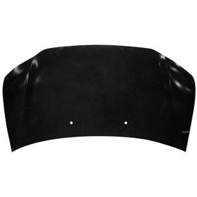 SHERMAN PARTS - 2922B-28-0 - Hood Panel pa1