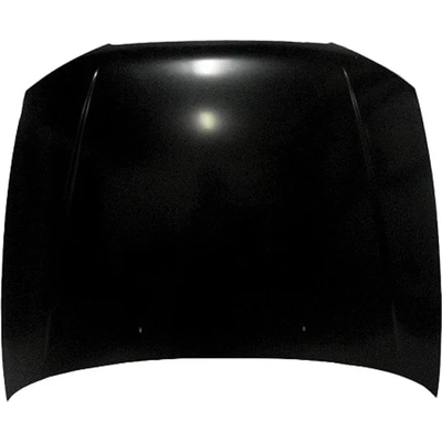 Hood Panel Assembly by SHERMAN PARTS - 3192-28-0 pa1